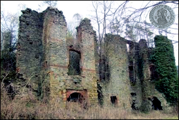 Exkursion-zur-Figura-Burg--FiguraBurg--e1004a04--q1